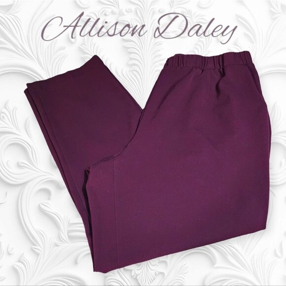 Allison Daley Elastic Waist Pull On Pants w/ Pockets Merlot Purple 16‎ - Picture 1 of 7
